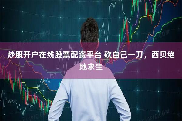 炒股开户在线股票配资平台 砍自己一刀，西贝绝地求生